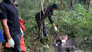Niat Cari Pakan Ternak, Warga Desa Suci Gresik Temukan Mayat Tanpa Identitas