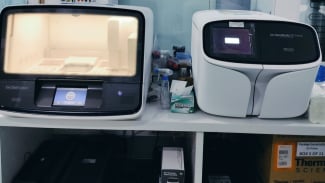 Article