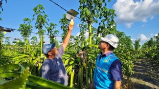 22,69 TWh Listrik PLN Mengalir di Jawa Timur hingga Pertengahan 2025