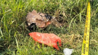 2 Pekan Berdarah di Jawa Timur yang Bermula dari Temuan Mayat