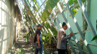 Tiga Ruang Kelas SDN Bogorejo Tuban Ambruk, Begini Kondisinya