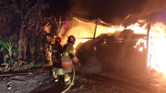 Kandang Ayam di Bojonegoro Terbakar, Pemilik Rugi Hampir Rp1 Miliar