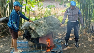 Arena Sabung Ayam Digerebek Polisi di Sidoarjo, Lokasinya Tersembunyi Pohon Bambu