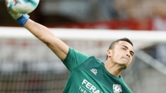 Tumbangkan AC Milan, Emil Audero Dipuji-Puji Pecinta Sepakbola