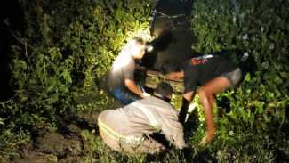 Niat Senang-senang Mancing Ikan, 5 Pemancing Malah Terjebak di Rawa Lamongan