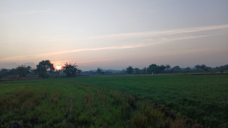 Cuaca Jawa Timur Diprakirakan Cerah, Hujan Ringan di Daerah Ini