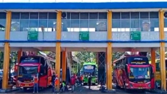 Banjir Bali bikin Bus Jurusan Surabaya-Denpasar dan Mataram Sepi Penumpang