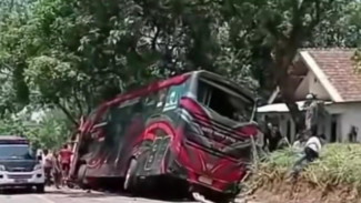 Sopir Bus Maut di Jalur Bromo Probolinggo Jadi Tersangka, Korban Meninggal 9 Orang