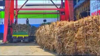 PG Gula Candi Baru Sidoarjo Lepas 8 Ribu Ton Stok Gula di Gudang