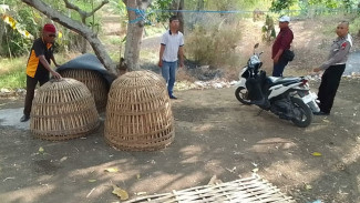 Polisi di Gresik Gerebek Arena Sabung, yang Didapat hanya Terpal dan Kurung