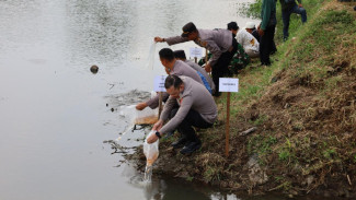 Lima Ribu Benih Ikan Tombro Ditebar di Sungai Ngrowo untuk Jaga Ekosistem