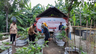Mengintip Inovasi Urban Farming Terpadu UPN Veteran di Jemursari Surabaya