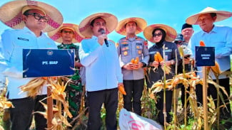 Menteri Imipas Agus Andrianto saat Panen Raya Jagung 45 Ton di Sidoarjo