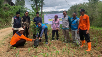 Peringati Hari Pahlawan, PLN Jatim Tanam Ragam Jenis Pohon di 3 Kabupaten