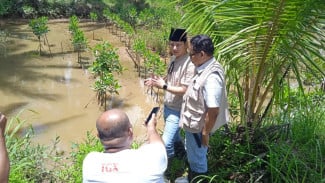 Eks Tambak Udang Jadi Mangrove, Mas Ipin Sebut Menambah Luasan Sabuk Hijau