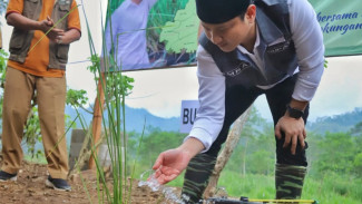 Bupati Trenggalek Cegah Bencana dengan Tanam 25 Ribu Vetiver, Rumput Apa Itu?