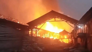 Peternakan Ayam PT CAS di Lamongan Ludes Terbakar, Kerugian Capai Rp2 Miliar