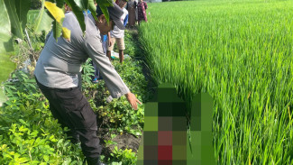Perempuan Paruh Baya di Lamongan Meninggal Tersengat Listrik Jebakan Tikus
