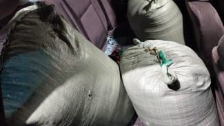 Kepergok Curi Tiga Karung Gabah di Tuban, Mobil dan Pelaku Diamuk Warga