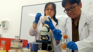 Peneliti Universitas Ciputra Surabaya Sulap Cangkang Telur Jadi Kolagen Halal