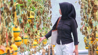 Wisata Petik Melon Premium di Sidoarjo, Sulap Rawa-Rawa Kumuh Jadi Tempat Ngabuburit Asyik