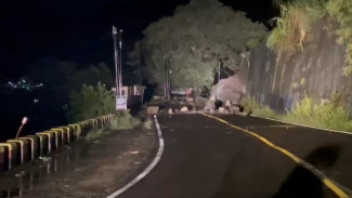 Longsor Batu Raksasa Sebabkan Jalan Raya Nasional Trenggalek-Ponorogo Tutup Total