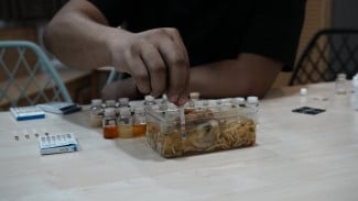 Peneliti ITS Ciptakan Strip Test Halal Pendeteksi Kandungan Minyak Babi