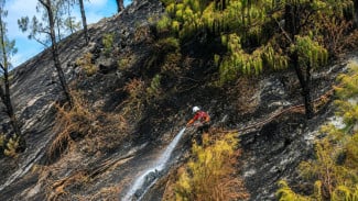 Karhutla Gunung Bromo Padam, Tim Gabungan Sisir Potensi Bara dan Asap