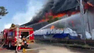 Kebakaran Pabrik Pengolahan Serbuk Kayu di Lamongan, Kerugian Capai Rp10 Miliar