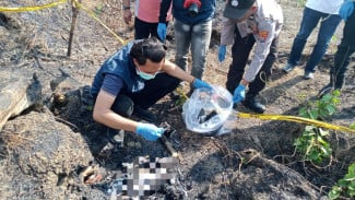 Kerangka Manusia Ditemukan di Hutan Bekas Terbakar, Polres Lamongan Lakukan Penyelidikan
