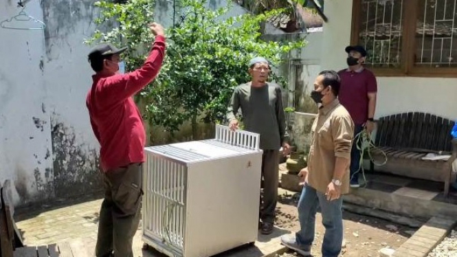 BKSDA Jatim pasang perangkap untuk menangkap kawanan monyet