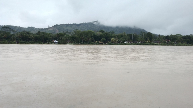 Sawah terendam banjir di Kabupaten Tulungagung.