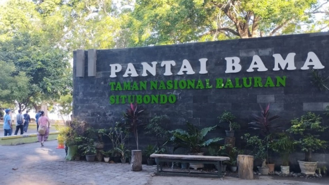 Pantai Bama di kawasan Taman Nasional Baluran Situbondo.