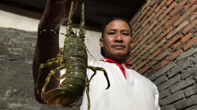 Subendi (40) pembudi daya lobster dasar laut.
