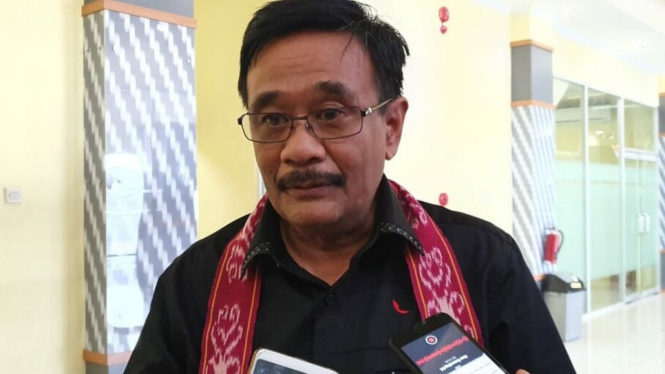 Djarot Syaiful Hidayat, Ketua DPP PDI Perjuangan
