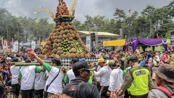 Pesta gunungan buah durian wonosalam tahun 2019-2020
