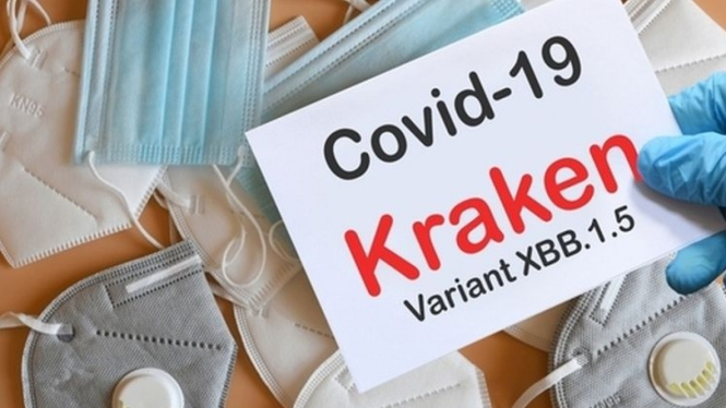 Covid-19 Kraken Varian XBB.1.5
