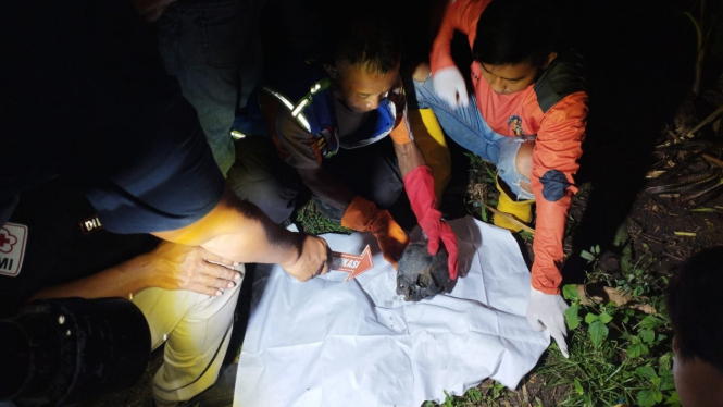 Penemuan tengkorak kepala manusia di Mojokerto