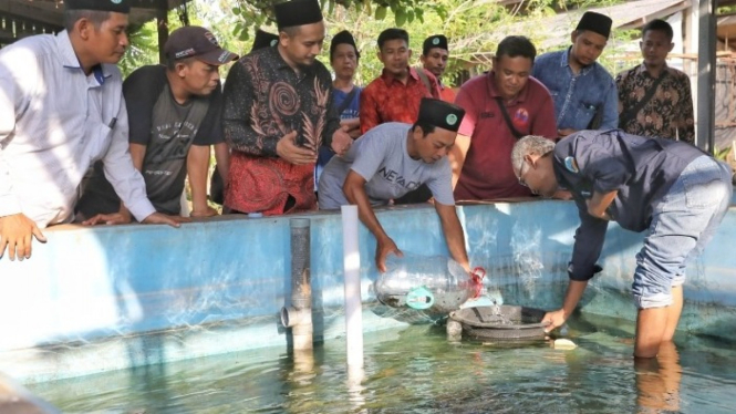 Pelatihan Budi Daya Ikan Tawar di Tuban