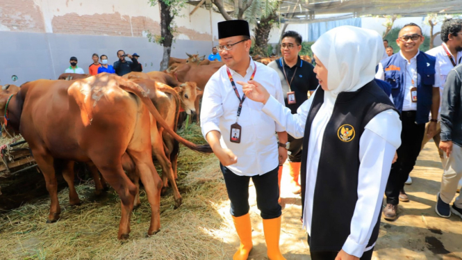 Gubernur Khofifah kunjungi RPH Halal Pegirian
