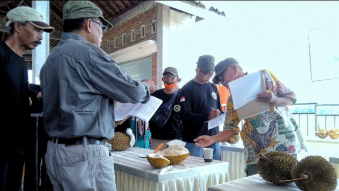 Foto Kontes Durian Lokal Trenggalek