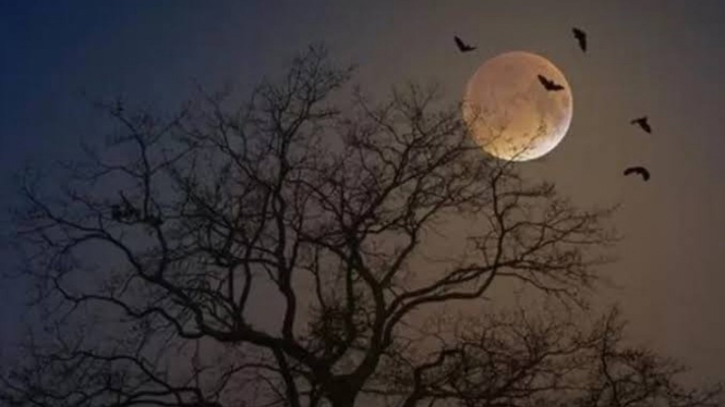 Ilustrasi Bulan Muharram atau Bulan Suro