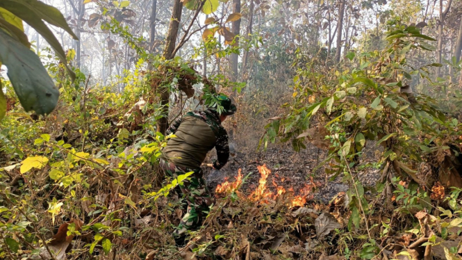 Kebakaran melanda area hutan jati di Mojokerto.