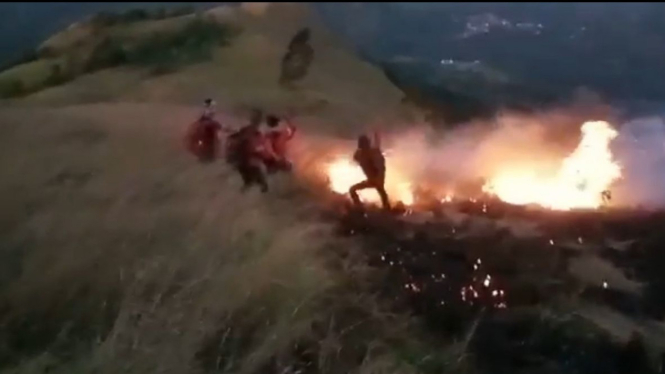 Anak Gunung Penanggungan di Mojokerto  Terbakar