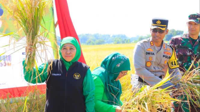 Jawa Timur Konsisten Jadi Provinsi Penghasil Padi Tertinggi