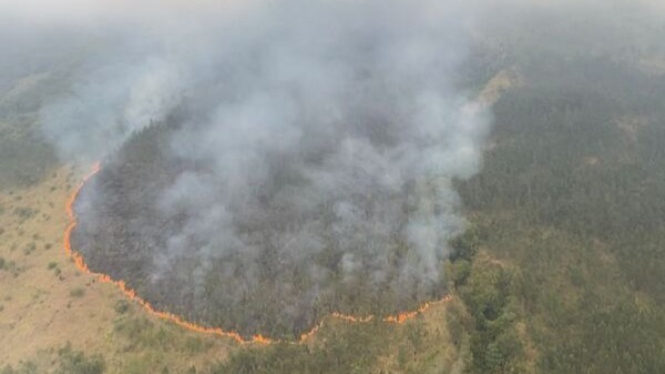 Kondisi kebakaran hutan dan lahan Gunung Arjuno