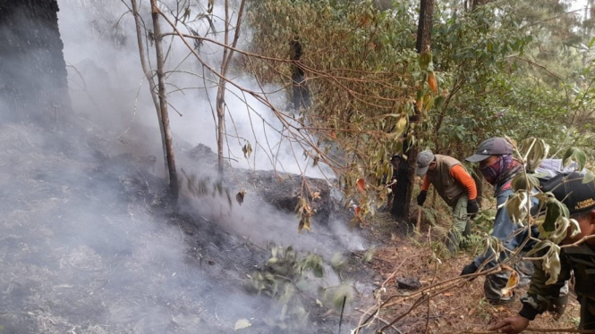 Petugas memadamkan kebakaran Lereng Gunung Welirang di Mojokerto