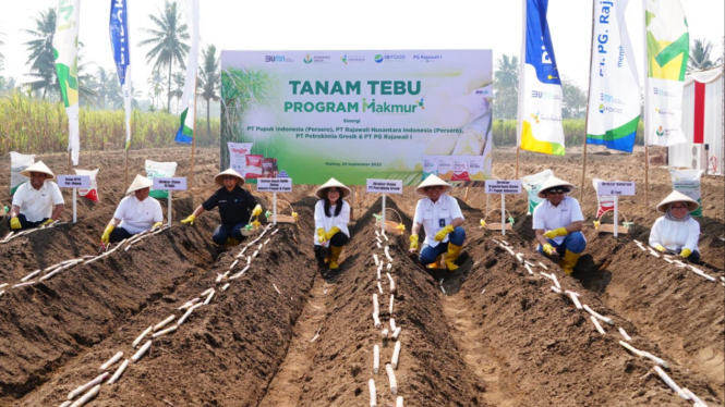 Program Makmur Petrokimia Gresik