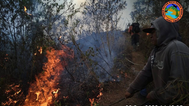 Hutan Lereng Gunung Anjasmoro Mojokerto Terbakar