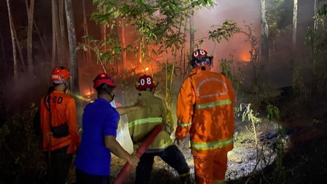 Petugas memadamkan kebakaran hutan di Trenggalek